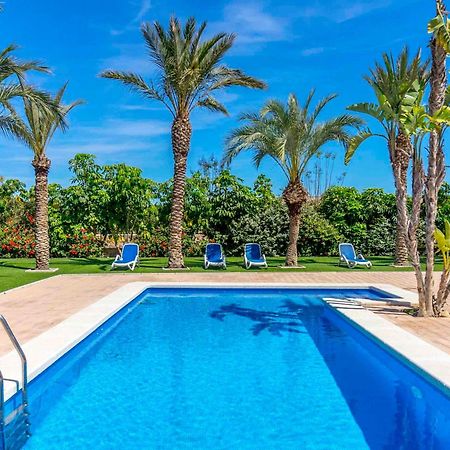 Finca Santa Barbara إلتشه المظهر الخارجي الصورة