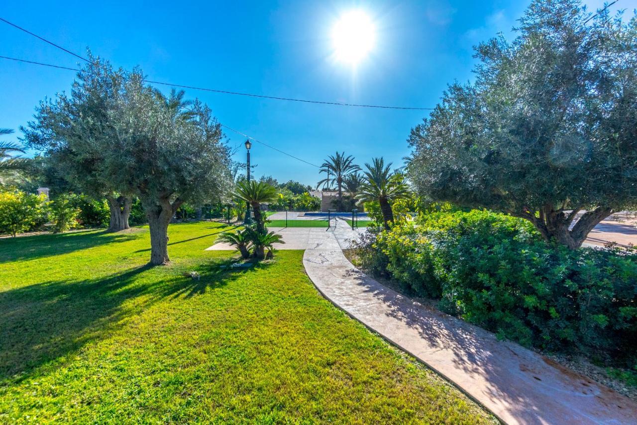 Finca Santa Barbara إلتشه المظهر الخارجي الصورة