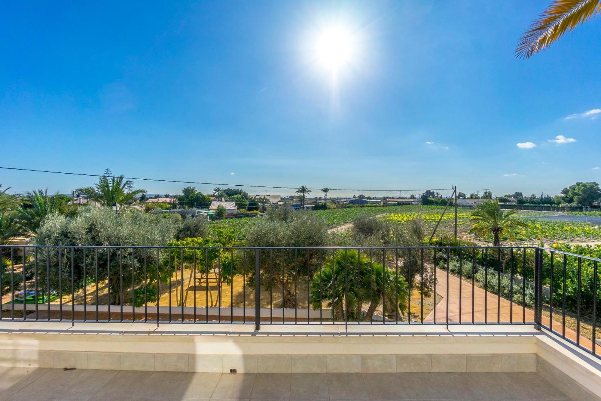 Finca Santa Barbara إلتشه الغرفة الصورة