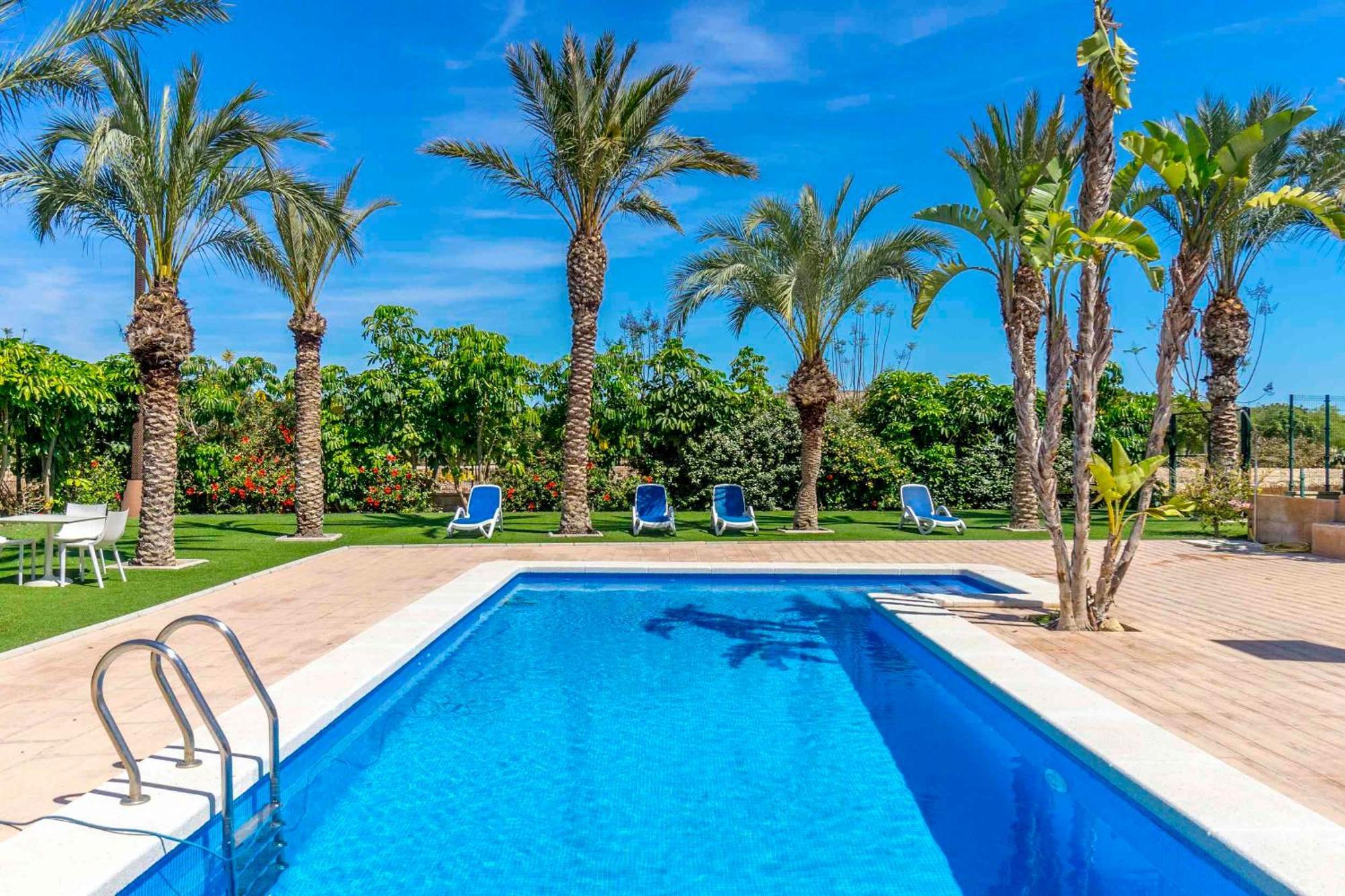 Finca Santa Barbara إلتشه المظهر الخارجي الصورة